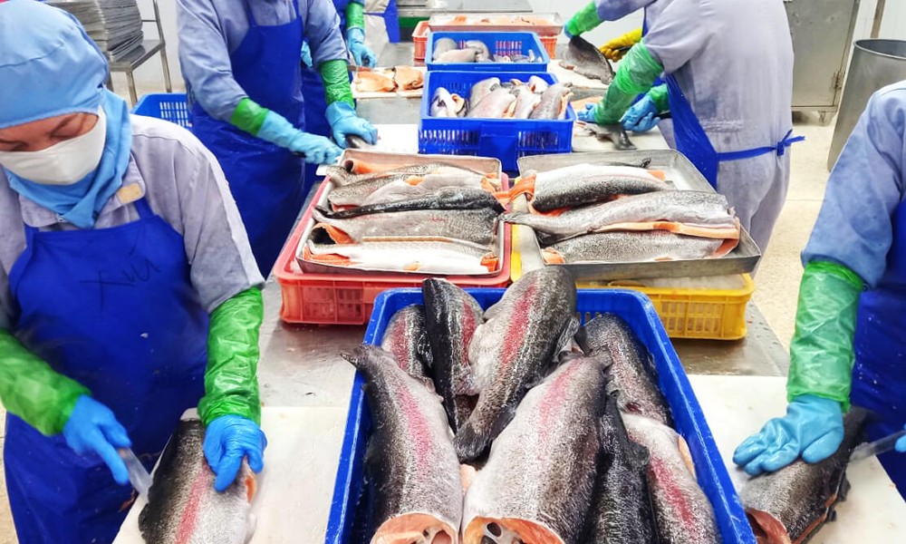 Seafood Procurement